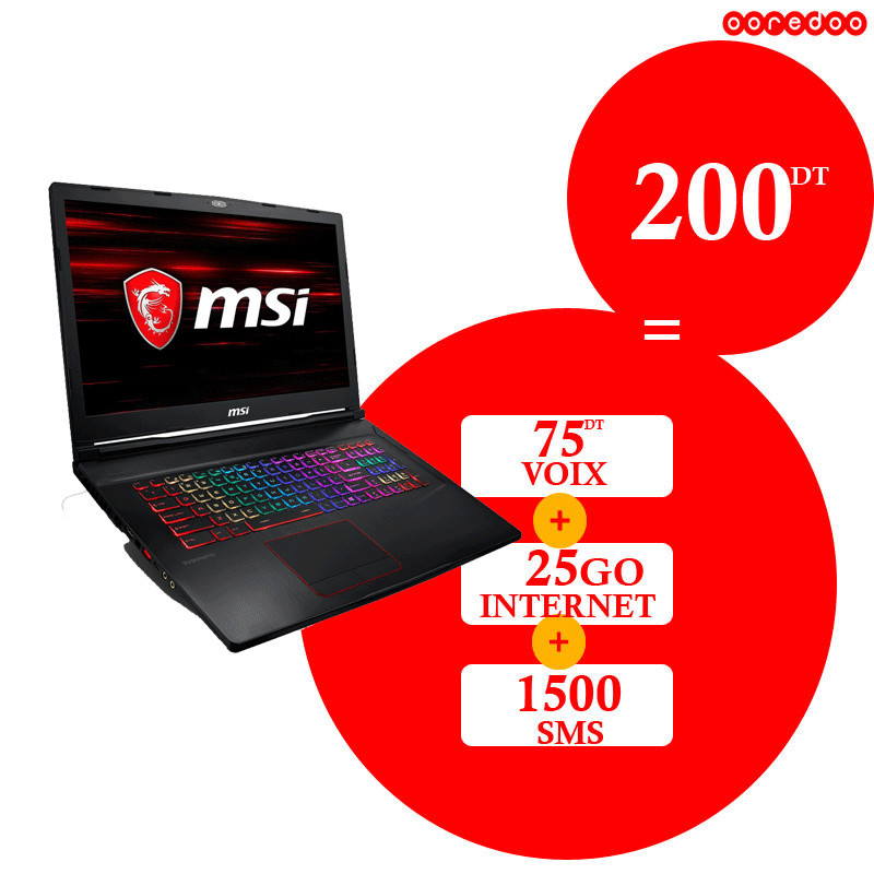 PC Portable MSI Gaming Raider I7 9é Gén 16Go 1To+256Go RTX 2060 6Go Noir