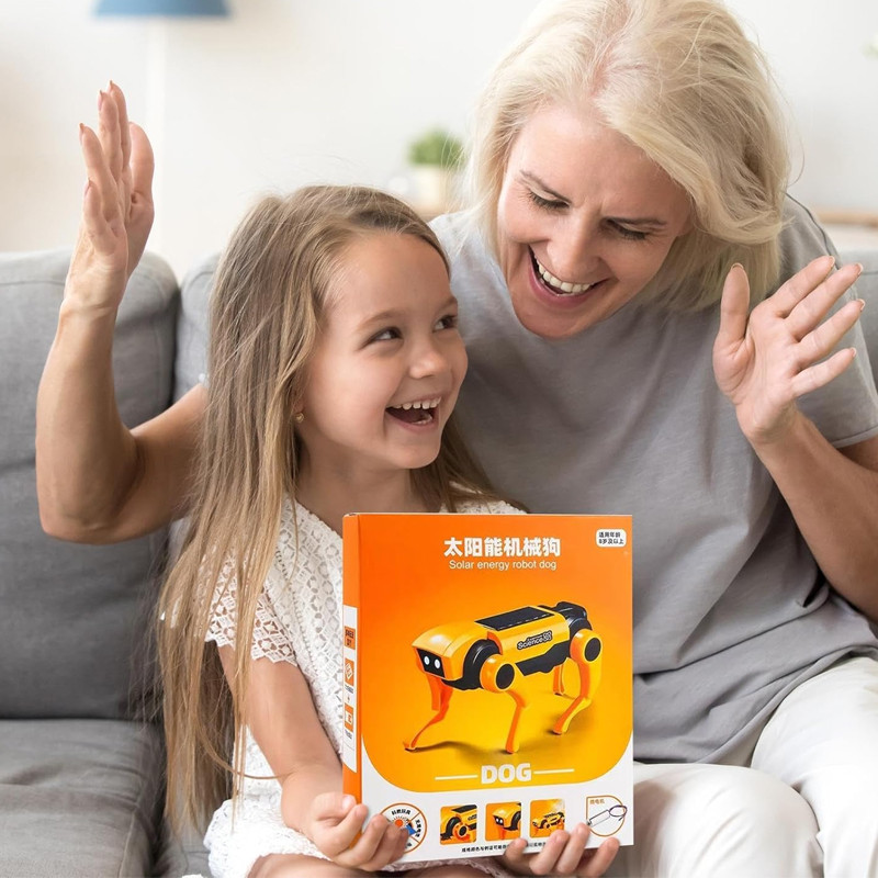 Kit de Chien Robot Solaire En Tunisie