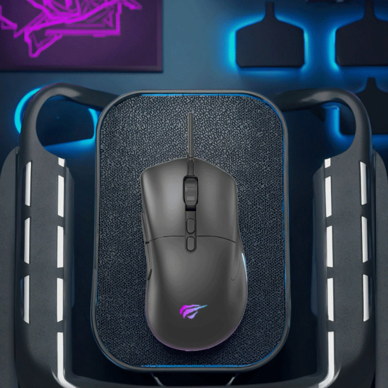 Souris Gamer Havit Backlit HV-MS954 RGB Noir en Tunisie