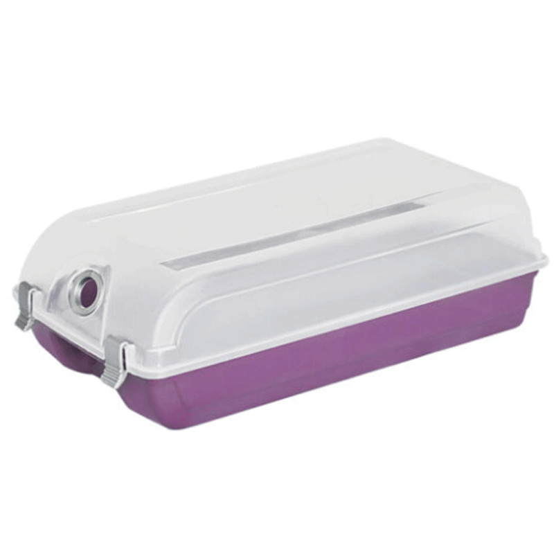 Boite à Chaussures Sotufab Petit Modèle Transparent