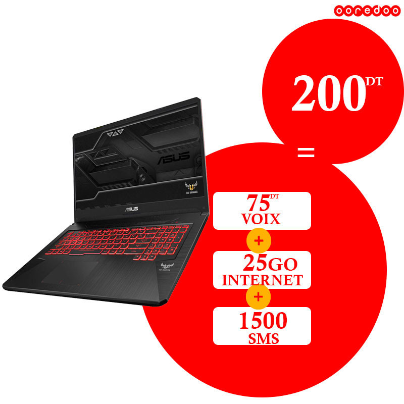 Pc portable gamer ASUS Gaming FX705 20Go 1To+128 Go SSD | pc gamer pas cher