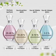 Sport 1 Beverly Hills Polo Club Eau de Parfum Femme 100Ml En Tunisie