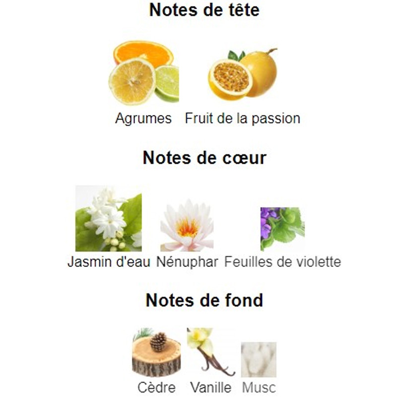 Sport 8 Beverly Hills Polo Club Eau de Parfum Femme 100Ml En Tunisie