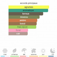 Tour Intense Beverly Hills Polo Club Eau de Toilette Homme 100Ml En Tunisie