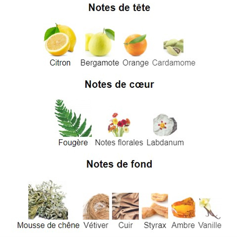 Tour Intense Beverly Hills Polo Club Eau de Toilette Homme 100Ml En Tunisie