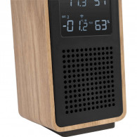 Haut Parleur Bluetooth Et Station Météo Thomson WS102TBK Noir