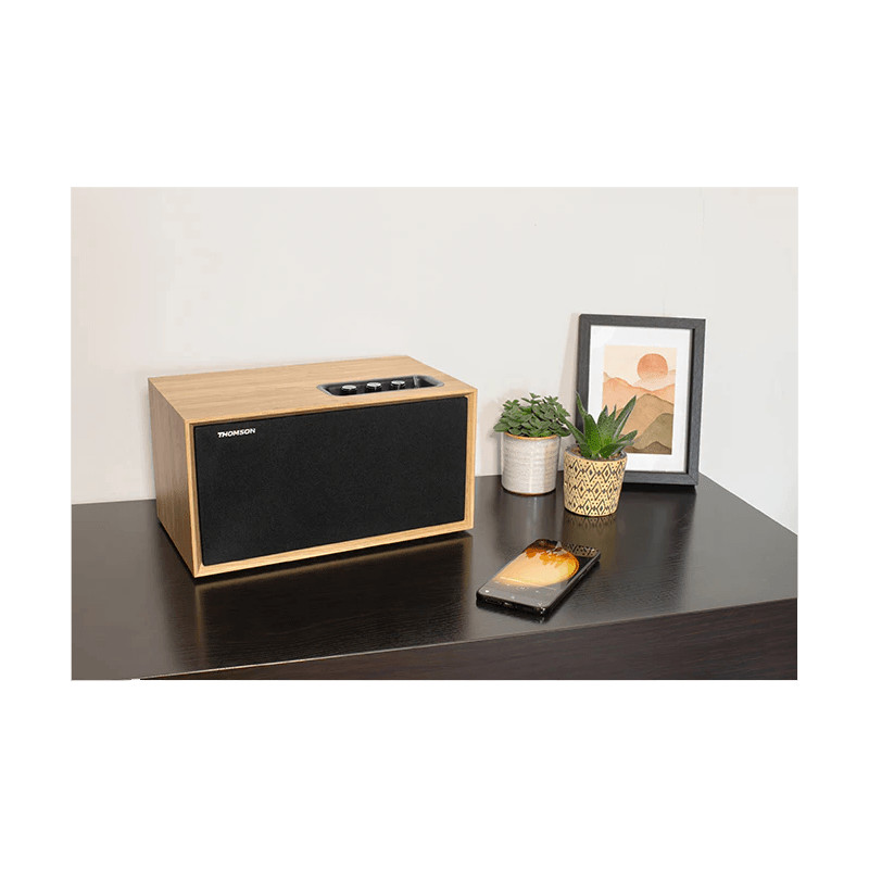 Haut Parleur Bluetooth Thomson WS502 Bois en Tunisie