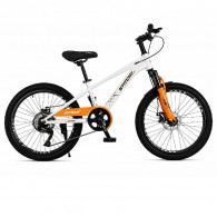Bicyclette Adulte Best Bike FF-20 20" Beige En Tunisie