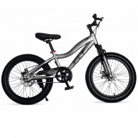Bicyclette Best Bike SZW-20 20" Gris En Tunisie