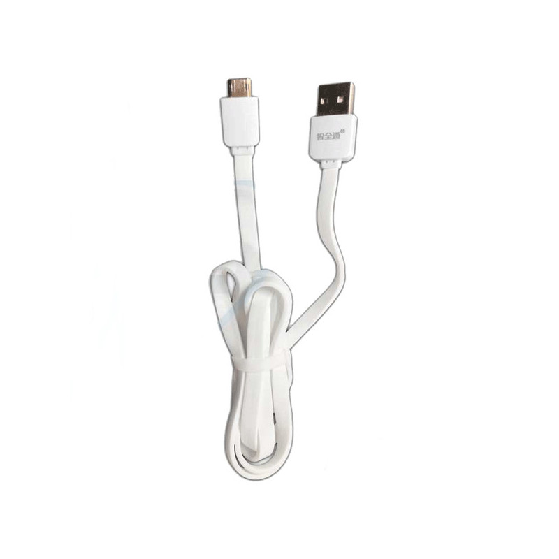 Câble smart 1 m