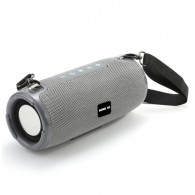 Haut Parleur Bluetooth Home DJ TG-324 Gris en Tunisie