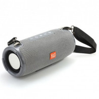 Haut Parleur Bluetooth Home DJ TG-324 Gris en Tunisie