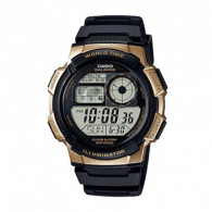 MONTRE HOMME CASIO...
