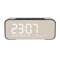 Alarm Bluetooth Speaker Status