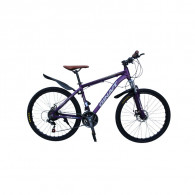 BICYCLETTE 26" - Gris| Mauve