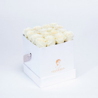 SENSIBILITÉ : BOX BLANCHE...