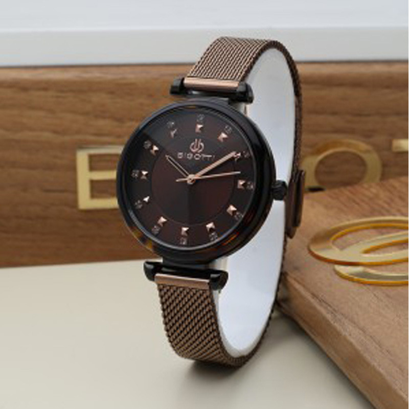 MONTRE FEMME BIGOTTI EN ACIER INOXYDABLE BG.1.10179-6 - MARRON