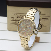 MONTRE FEMME BIGOTTI BG.1.10142-3 - GOLD