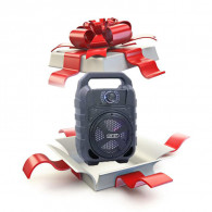 Hidden Gift