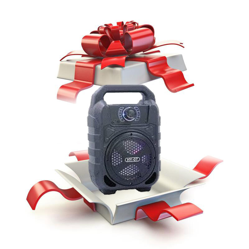 Hidden Gift