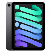iPad mini Wi-Fi 64Go Gris Sidéral