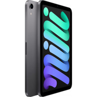 iPad mini Wi-Fi 64Go Gris Sidéral