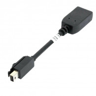 Adaptateur Mini Display Port vers Display Port Noir