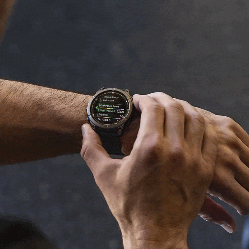 Smart Watch Garmin Fenix E au meilleur prix