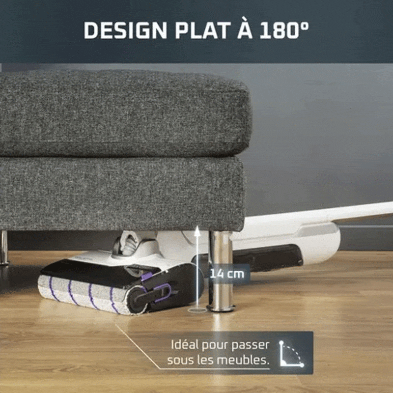 Rowenta X-Clean 10