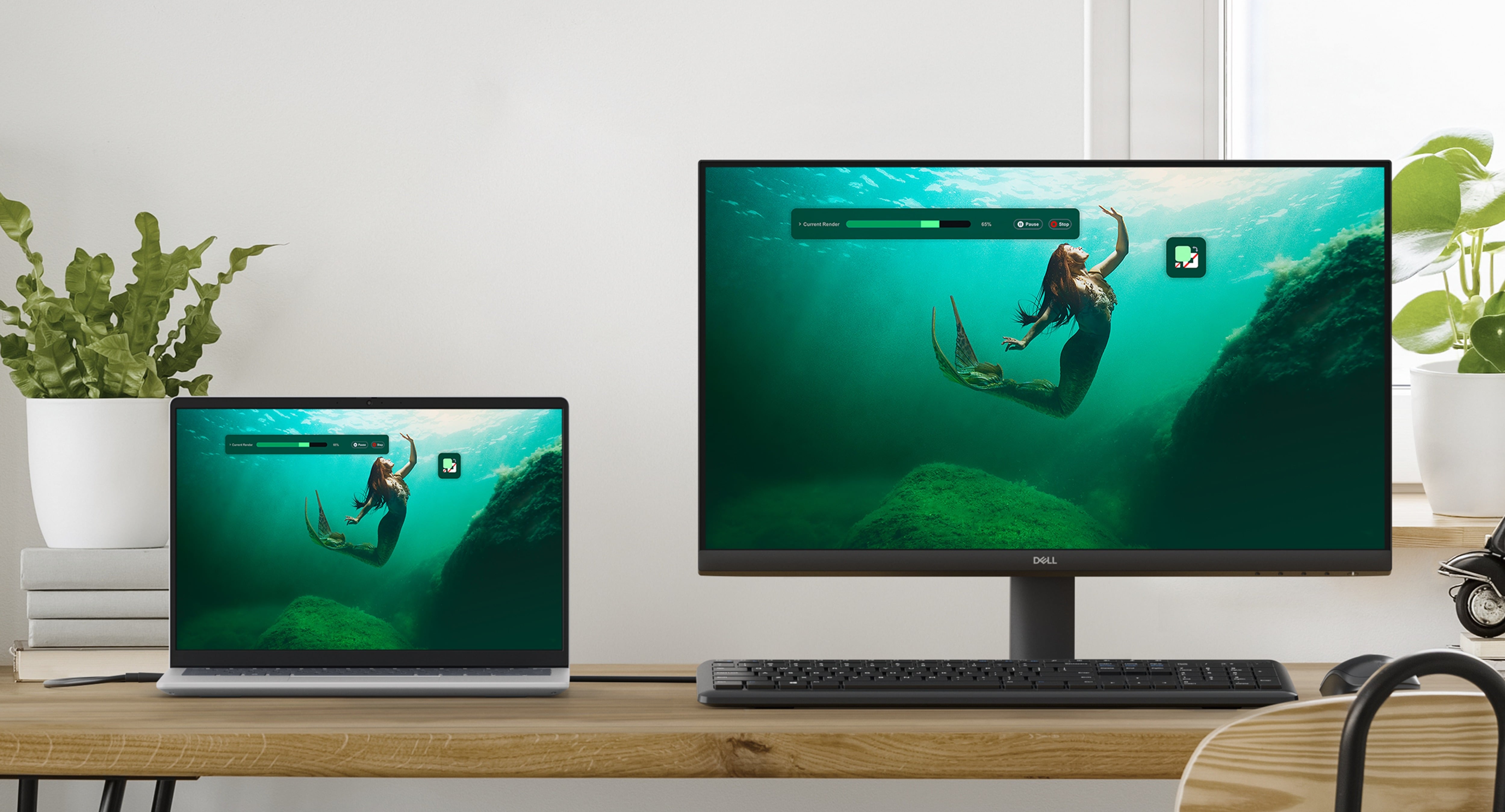 Ecran Dell SE2425HM 24″ Full HD au meilleur prix en Tunisie