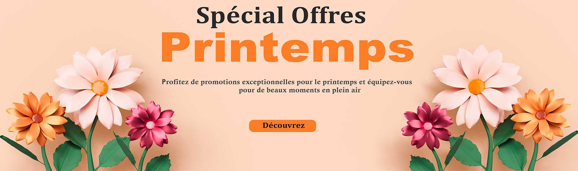 offre printemps